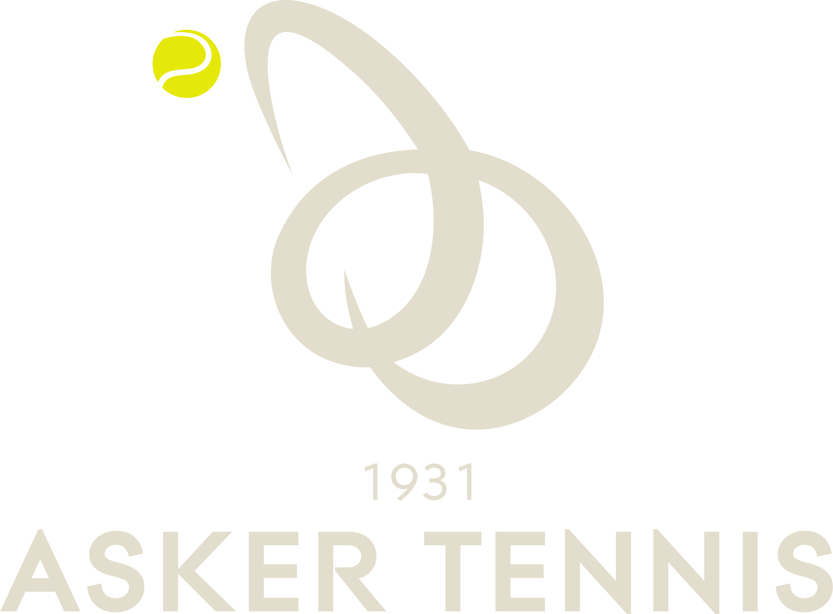 Asker Tennis Digital Gift Card
